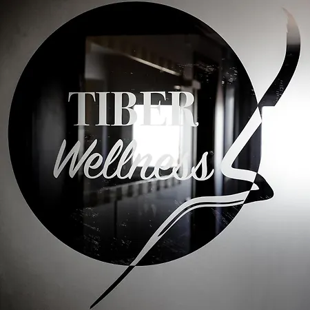 Tiber Rooftop & Wellness Отель 4*